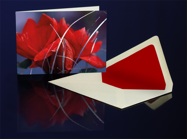 Grusskarte Rote Amaryllis aus der Katharine Siegling Collection