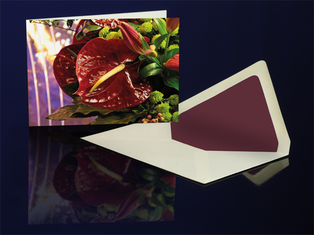 Grusskarte Anthurie Rot aus der Katharine Siegling Collection