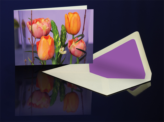 Grusskarte Tulpen 4 U aus der Katharine Siegling Collection