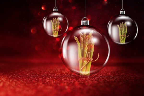 Fundraiser – Spargelkonflikt