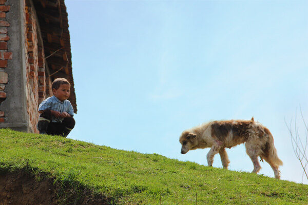 Humanitäres Projekt Hetea, Rumänien